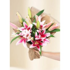 Oriental Lilies - In Vogue Pink (10)